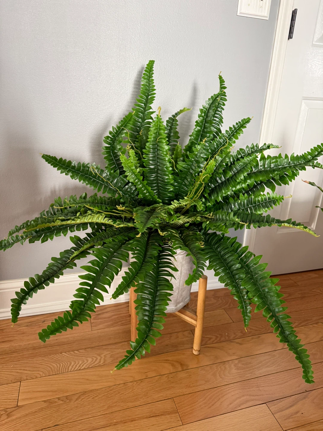 Nearly Natural 30-inch Artificial Boston Fern Set