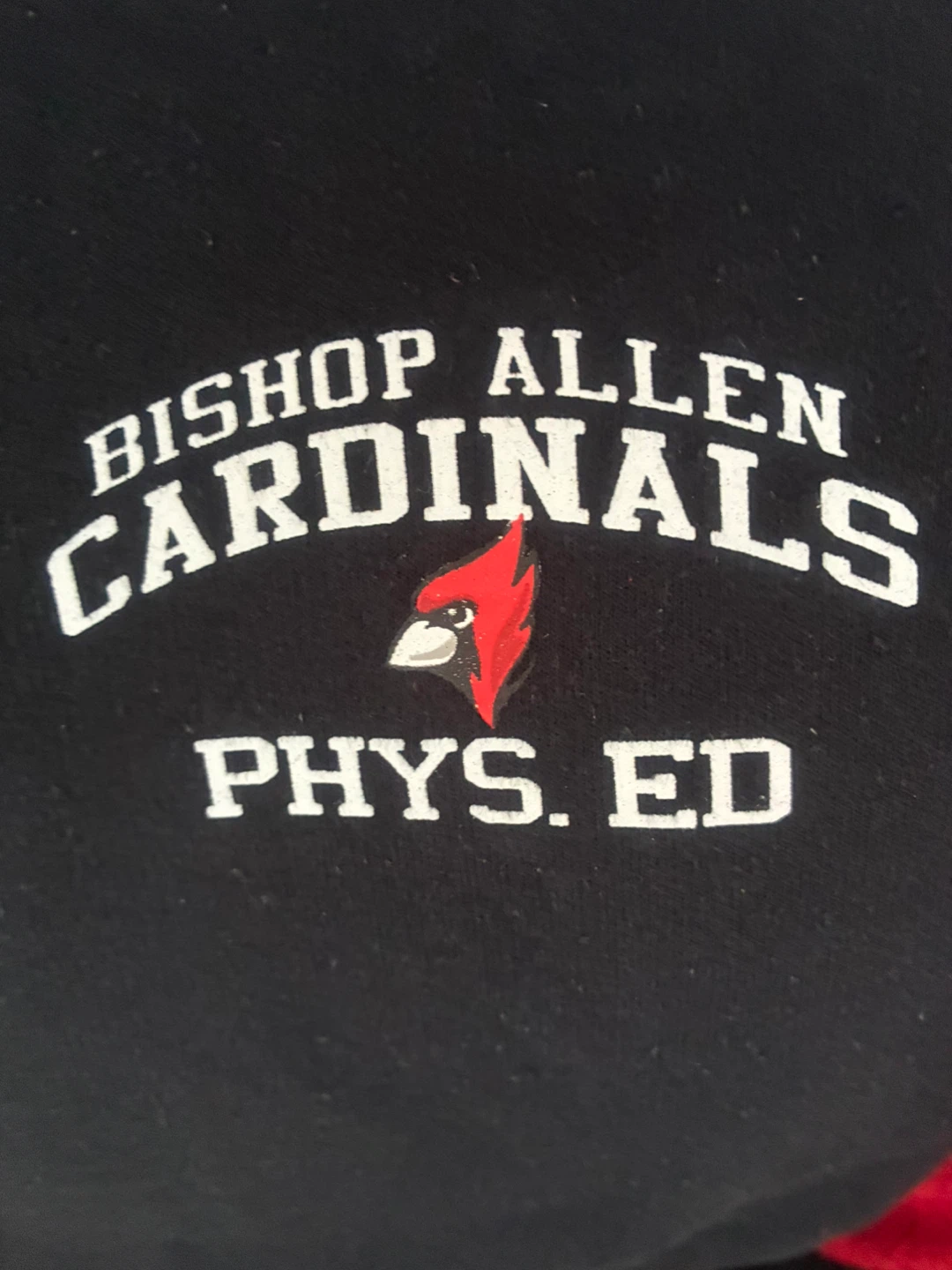 Bishop Allen Cardinals Phys. Ed. Sweatpants