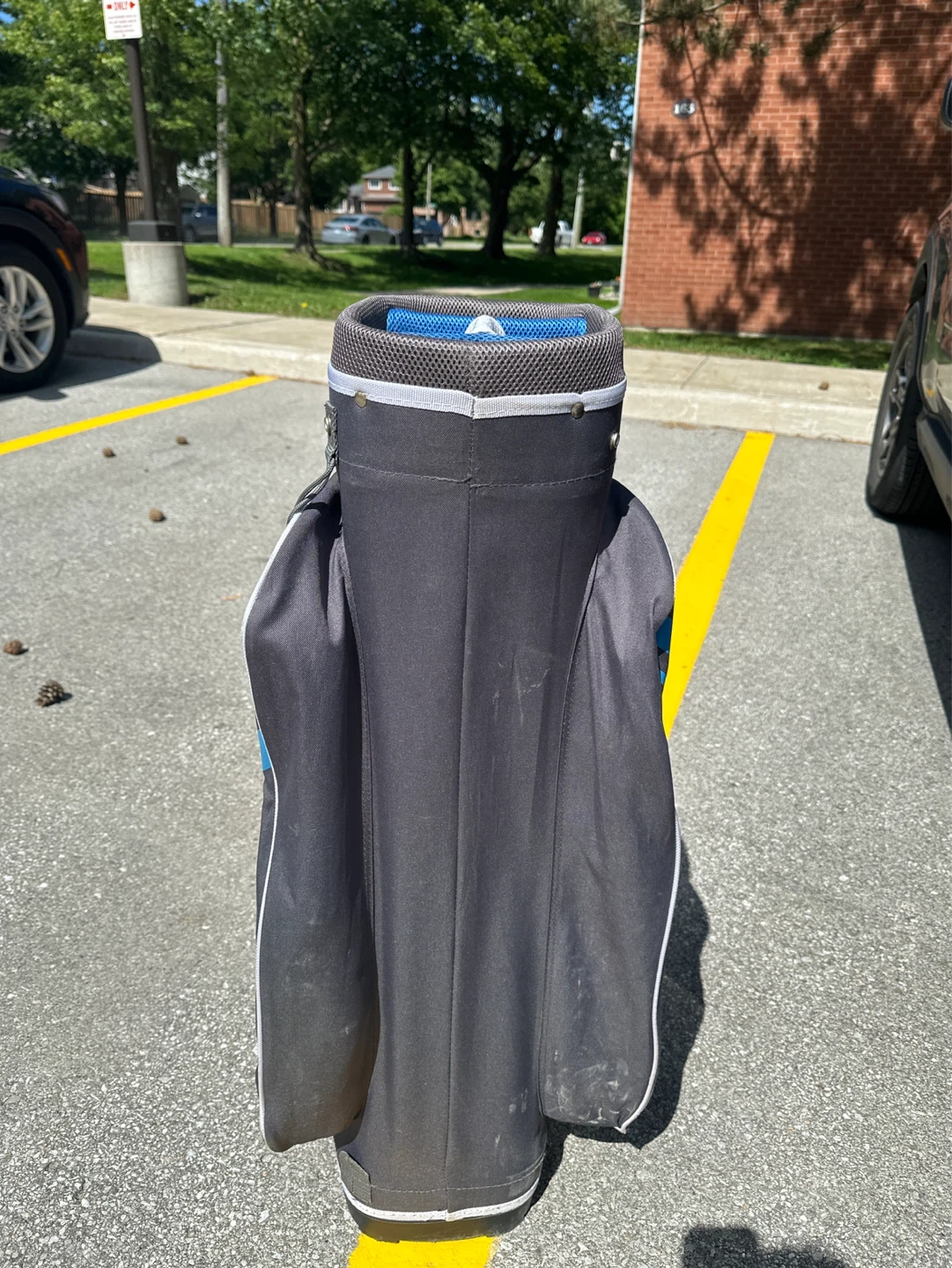 Lynx Golf Bag - photo 3