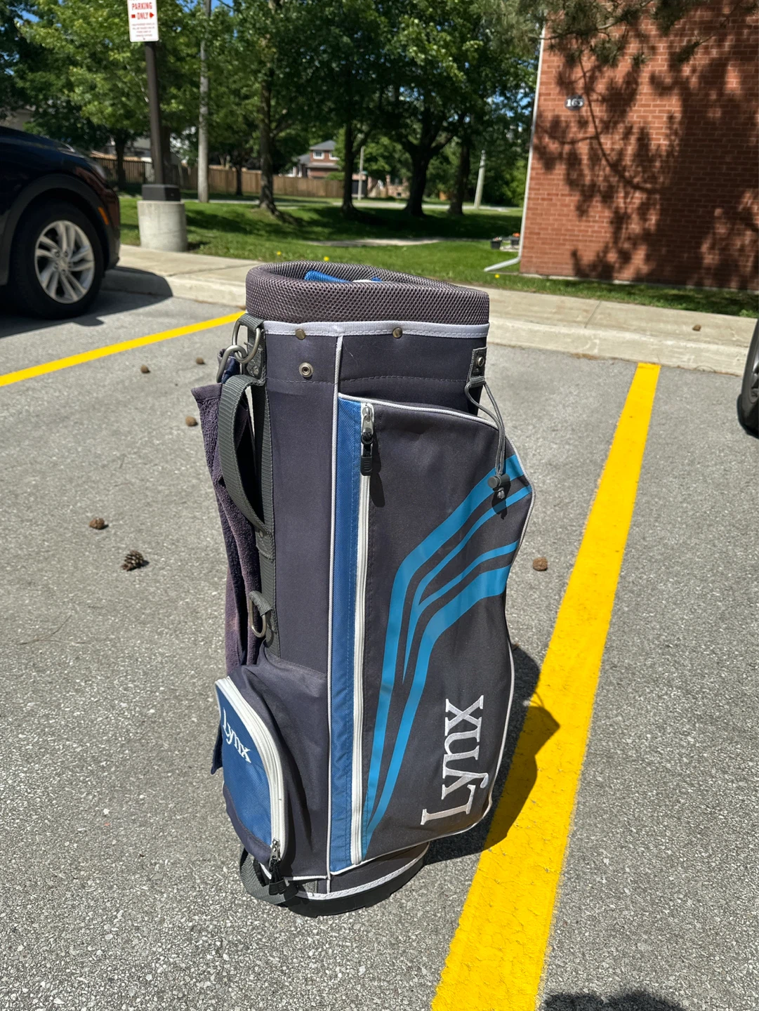 Lynx Golf Bag - photo 2