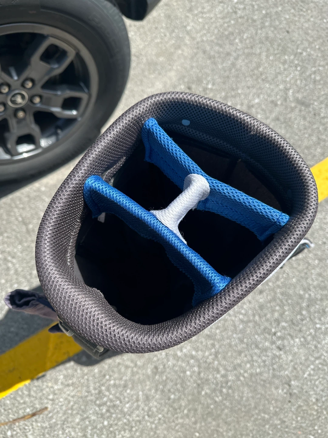 Lynx Golf Bag - photo 4