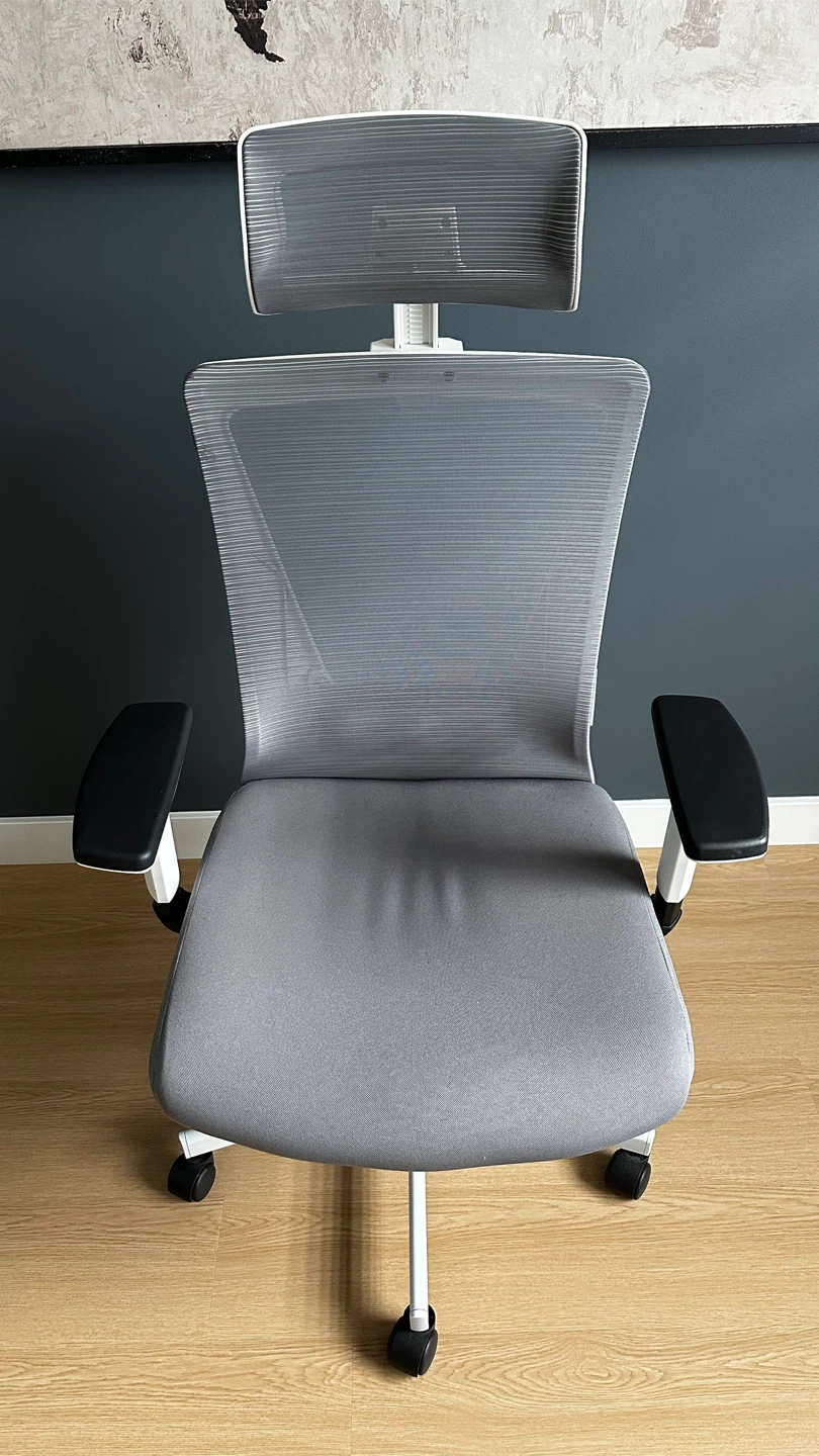 Ergonomic Office Chair with Headrest