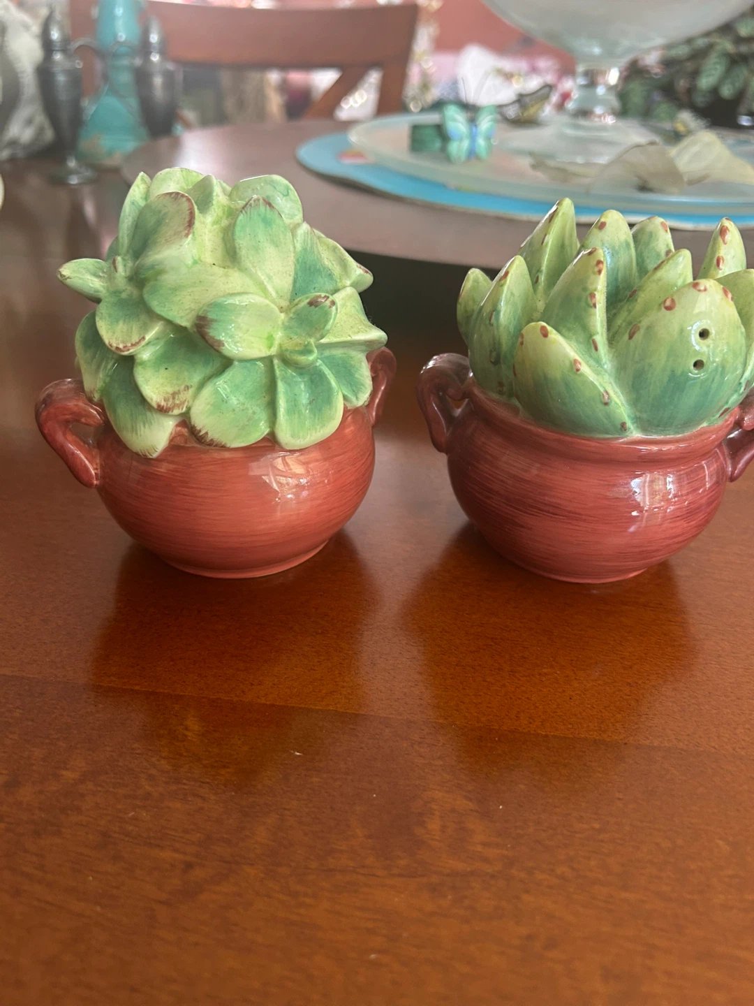 Succulent Plant Salt and Pepper Shakers ⚽