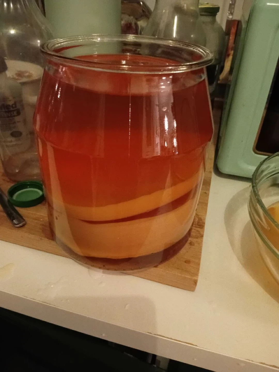 Kombucha SCOBYs Starter - photo 2