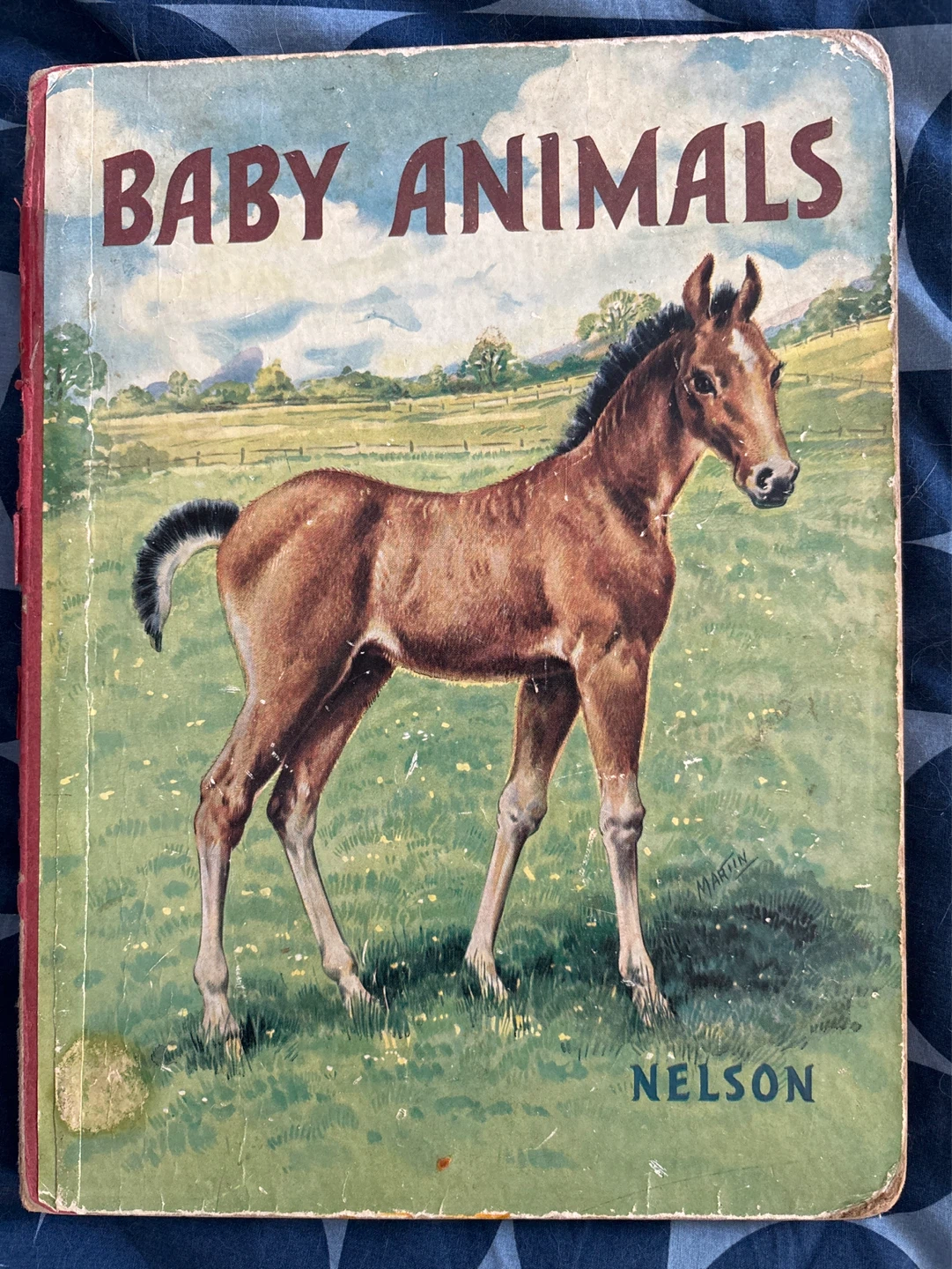 ⚽️Vintage Baby Animals Children's Book Hardcover