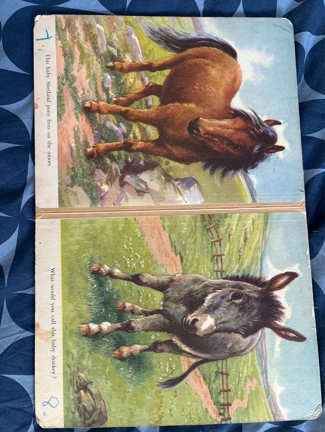 ⚽️Vintage Baby Animals Children's Book Hardcover - photo 5