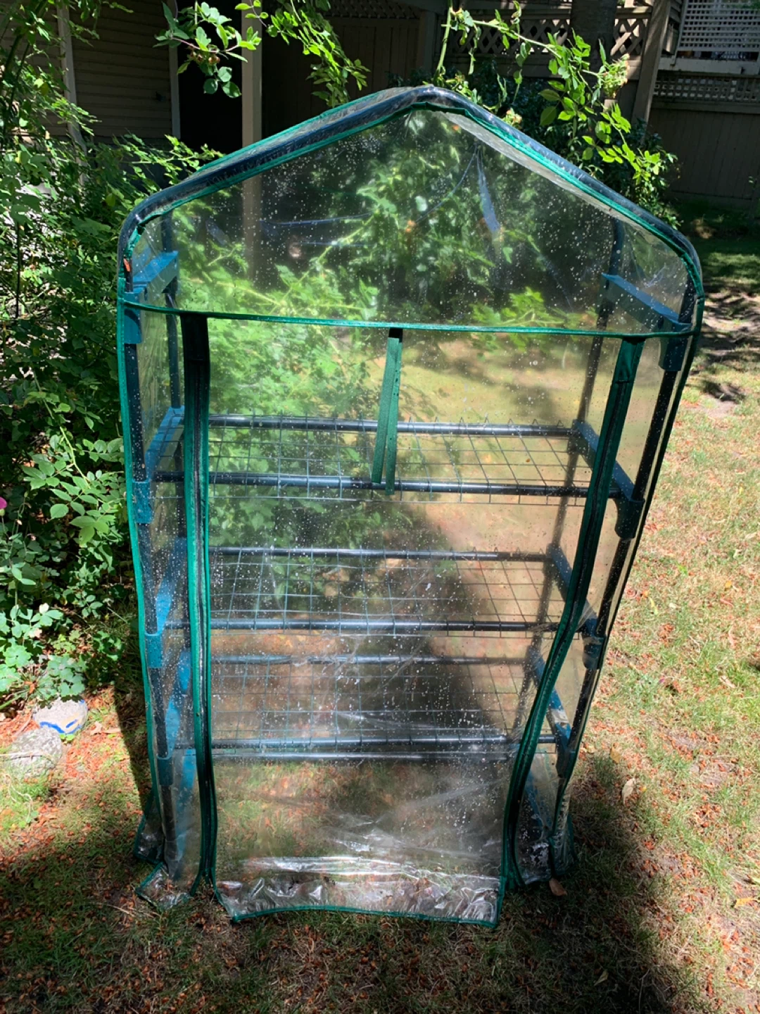 Mini Greenhouse - photo 2