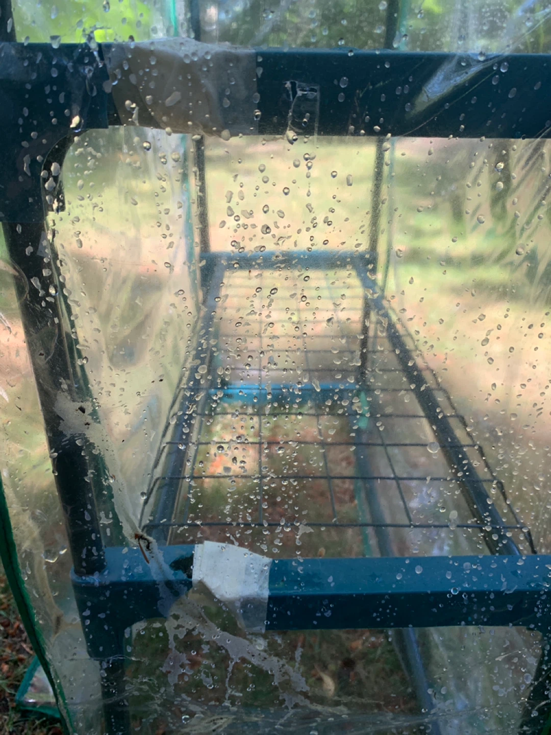 Mini Greenhouse - photo 3