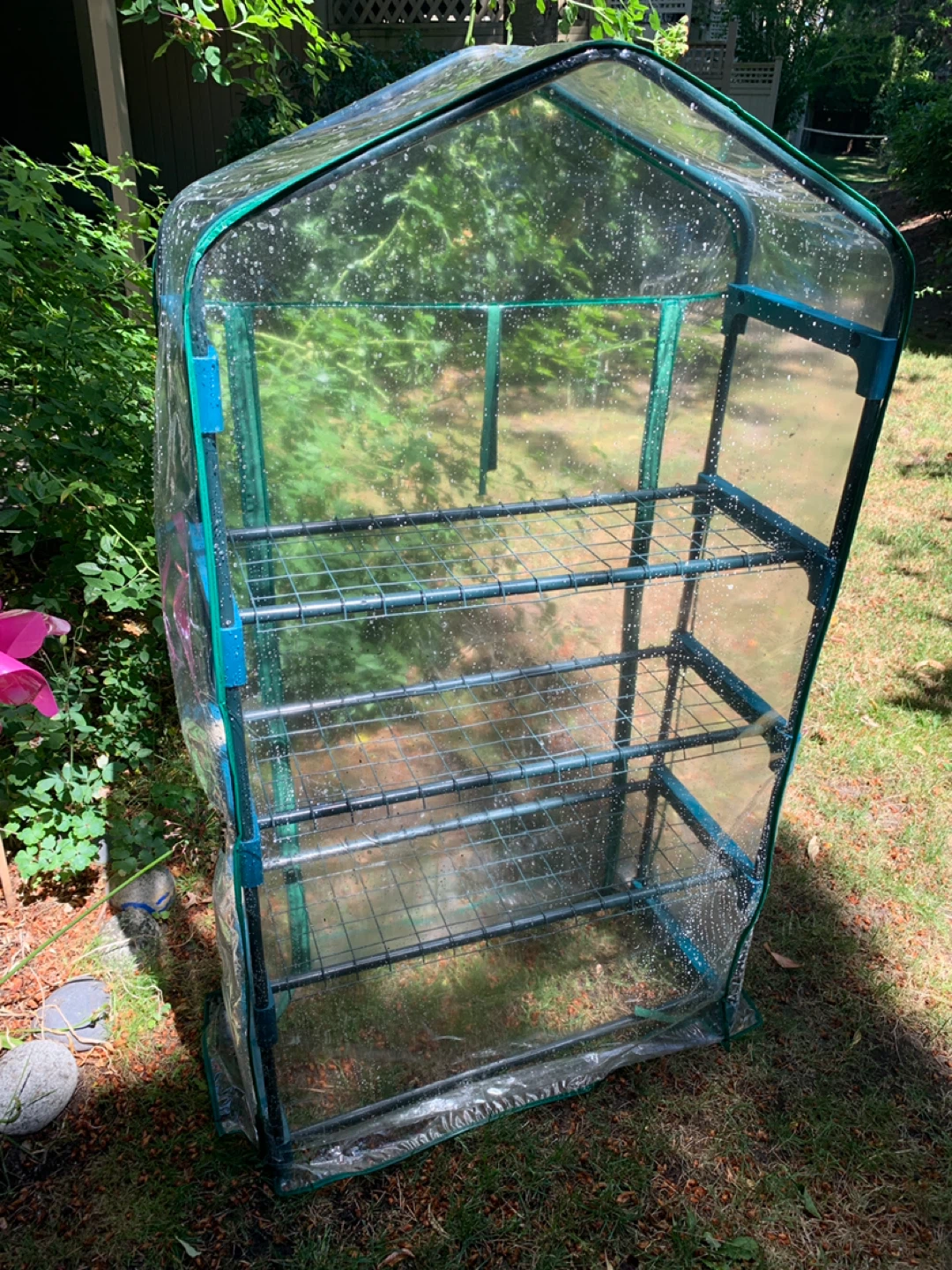 Mini Greenhouse