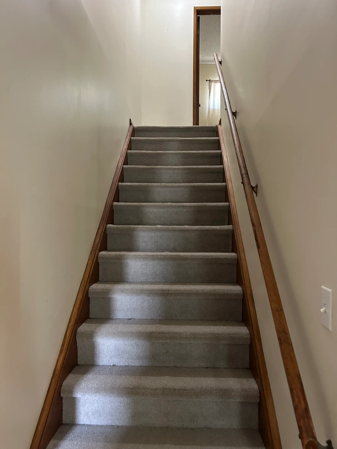Apartment for rent - photo 5
