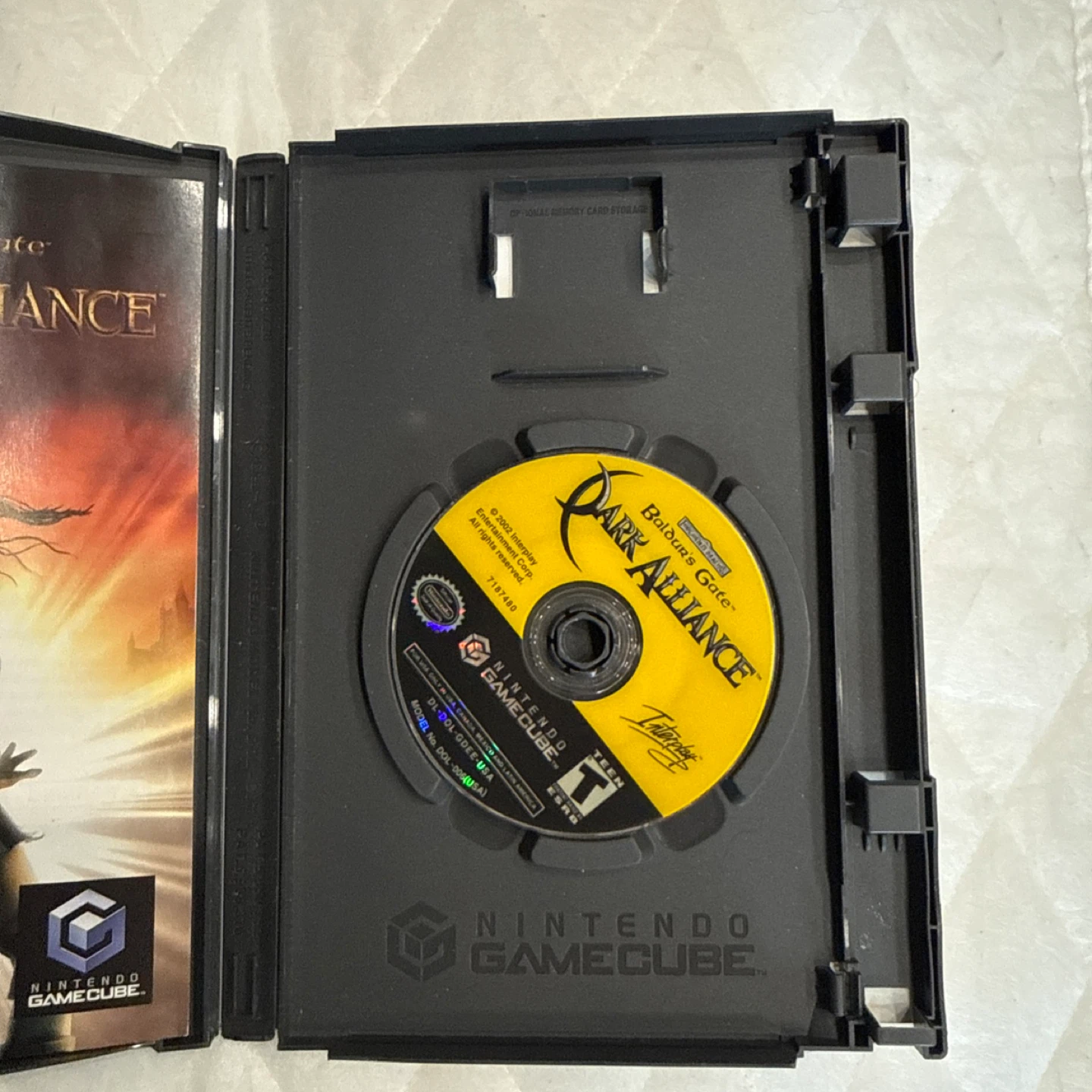 Baldur's Gate: Dark Alliance Nintendo GameCube - photo 4