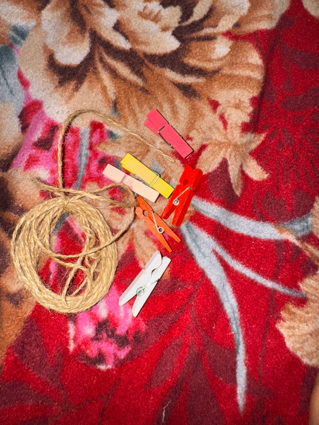 Decorative String Lights with Clothespins - photo 2