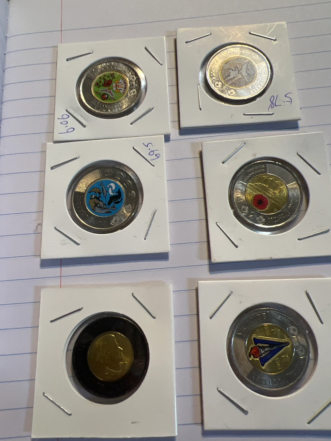 Collection of Canadian Coloured Loonie Coins