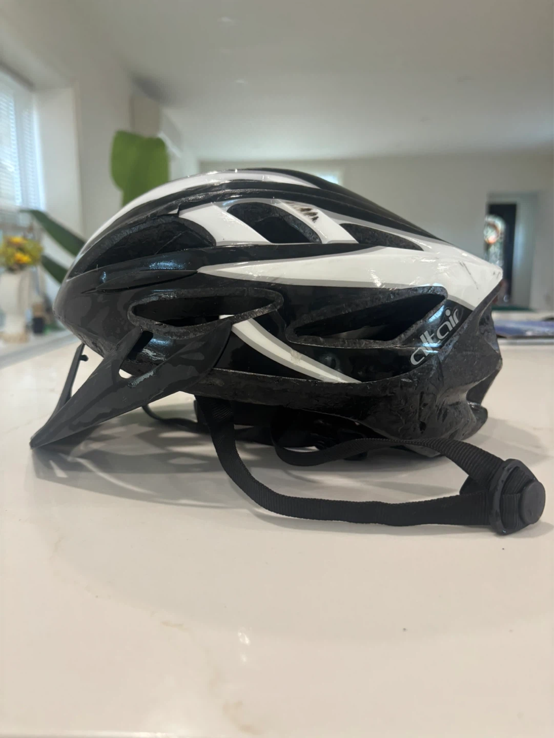 Giro Bicycle Helmet
