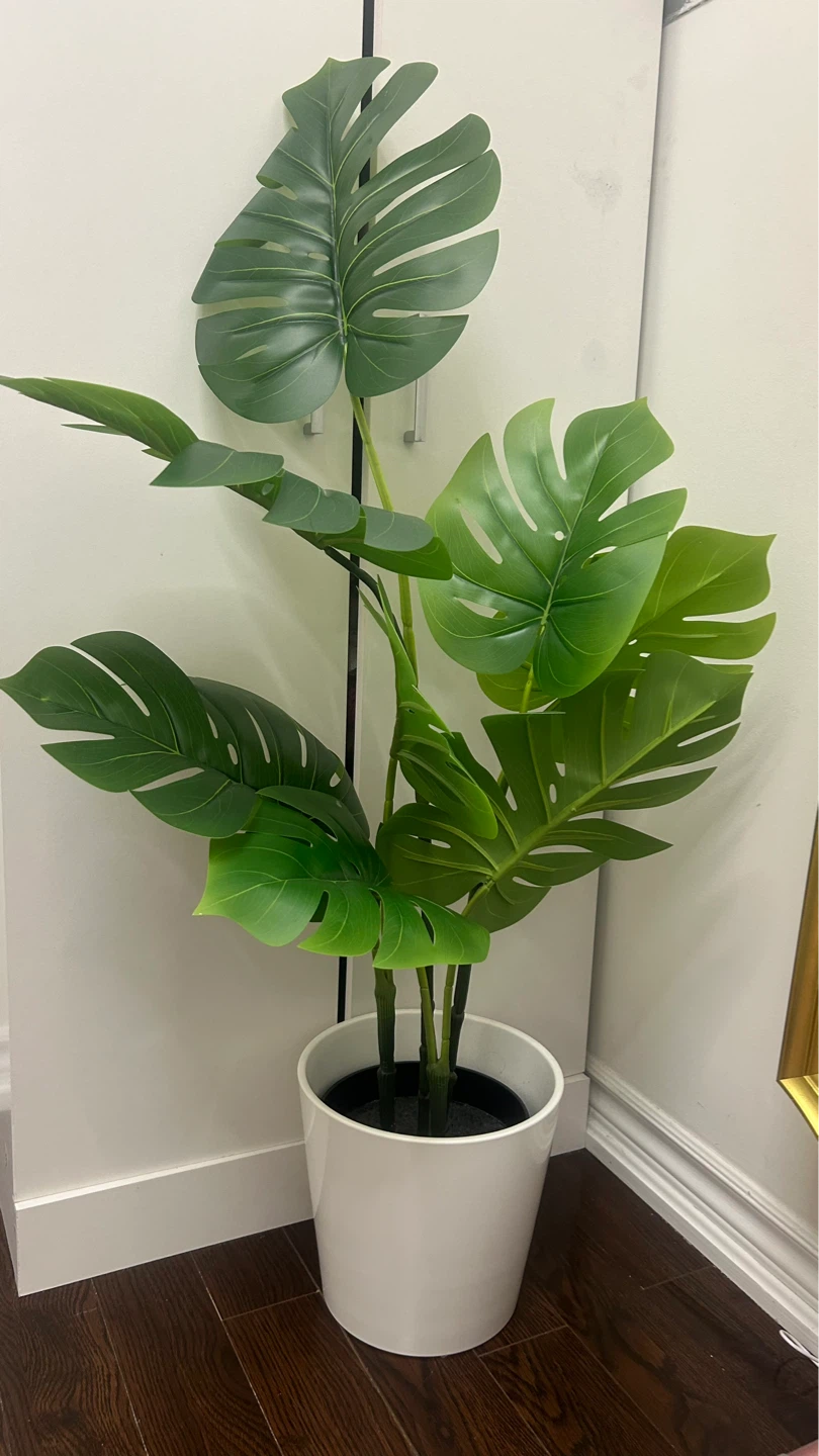 Artificial Monstera Plant in White Pot