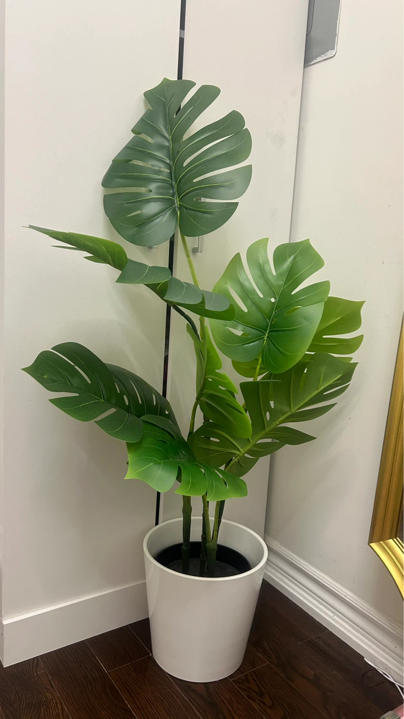 Artificial Monstera Plant in White Pot - photo 2