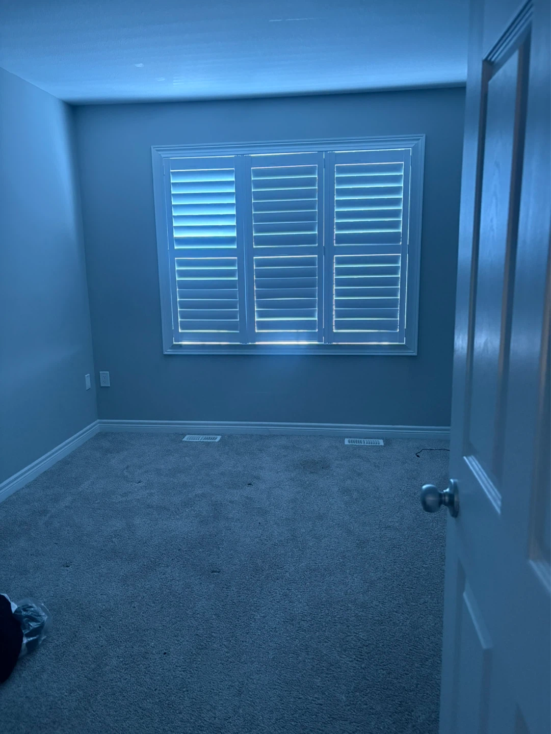 House for rent - photo 5