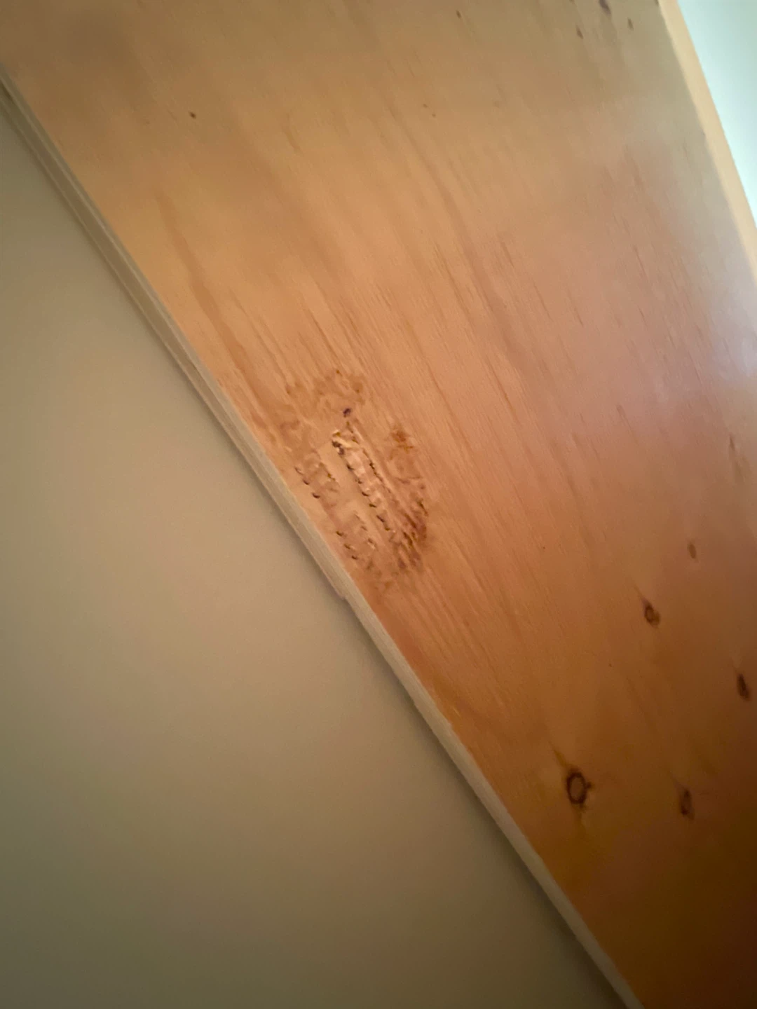 Plywood Sheet - photo 2