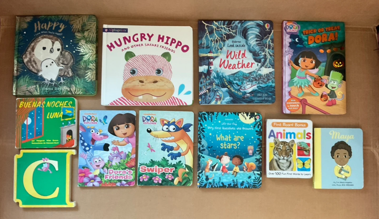 Children's Board Books Bundle 11 books - Hungry Hippo, etc.