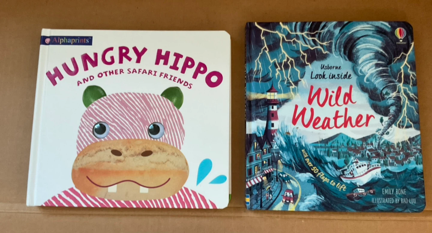 Children's Board Books Bundle 11 books - Hungry Hippo, etc. - photo 3