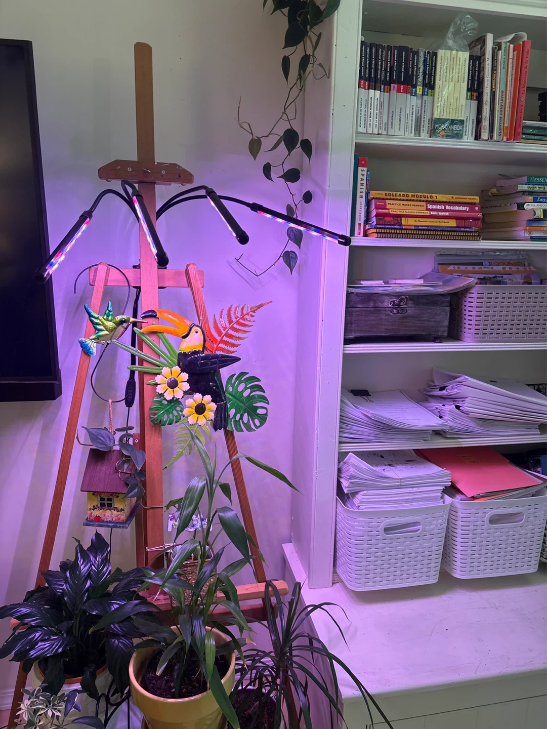 LED Grow Light with 4 Flexible Stems - photo 2