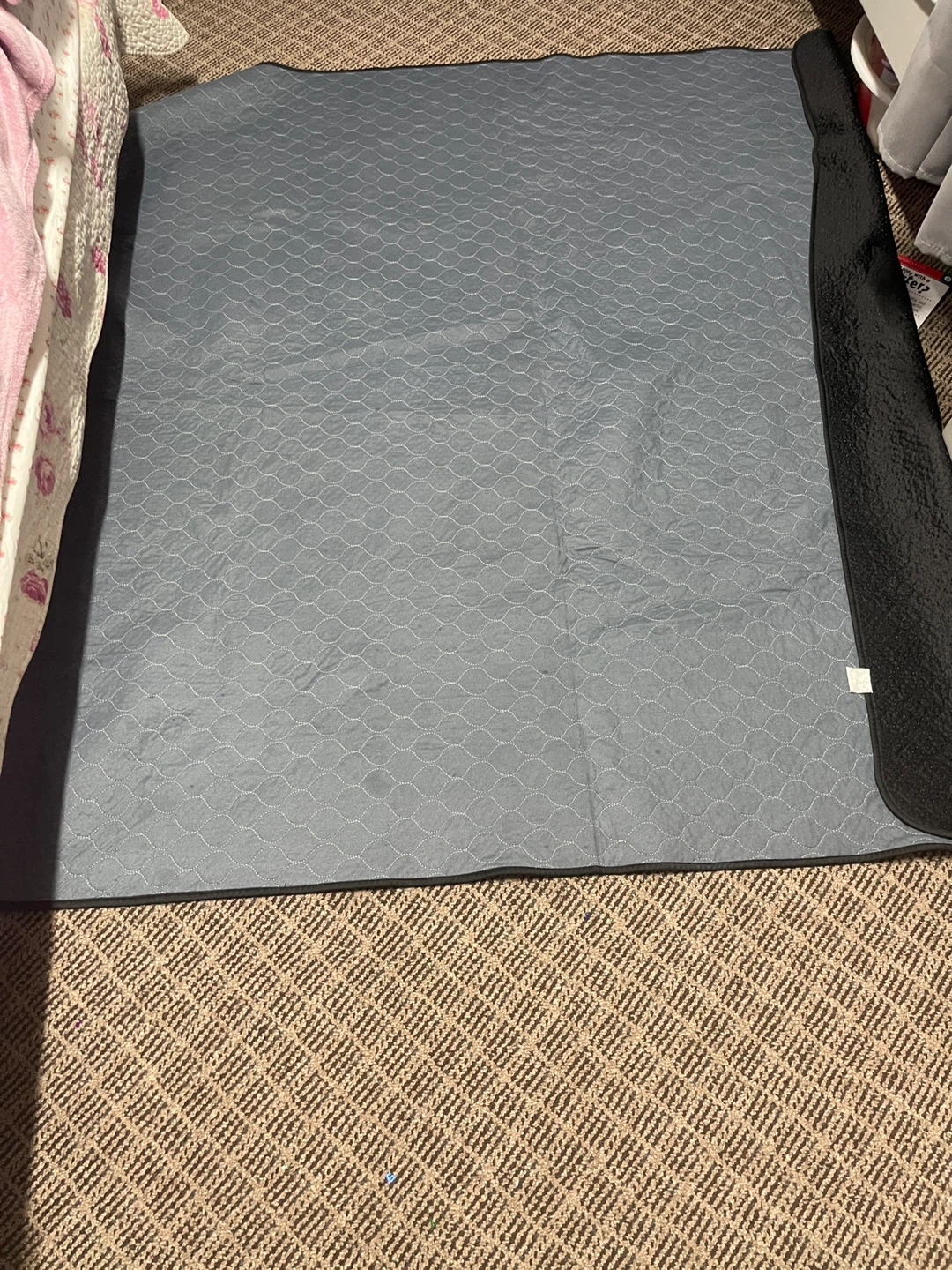 Dog Mat and Bowl