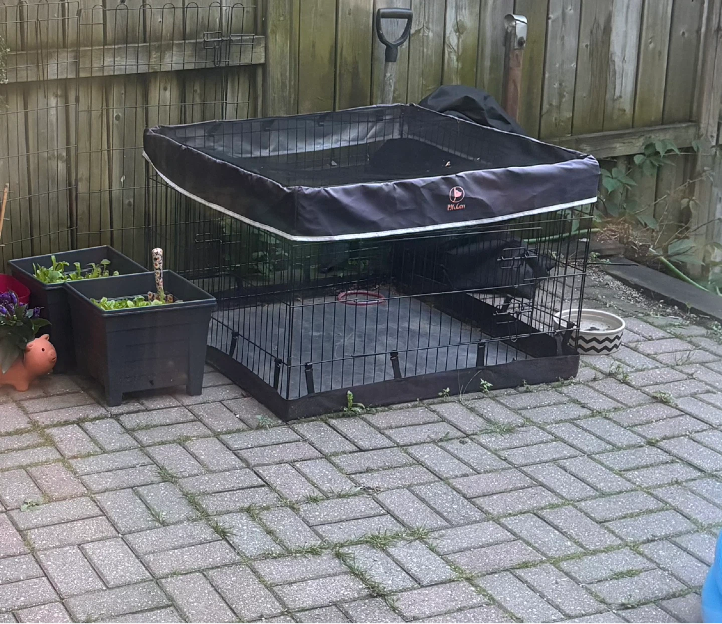Indoor/ Outdoor kennel