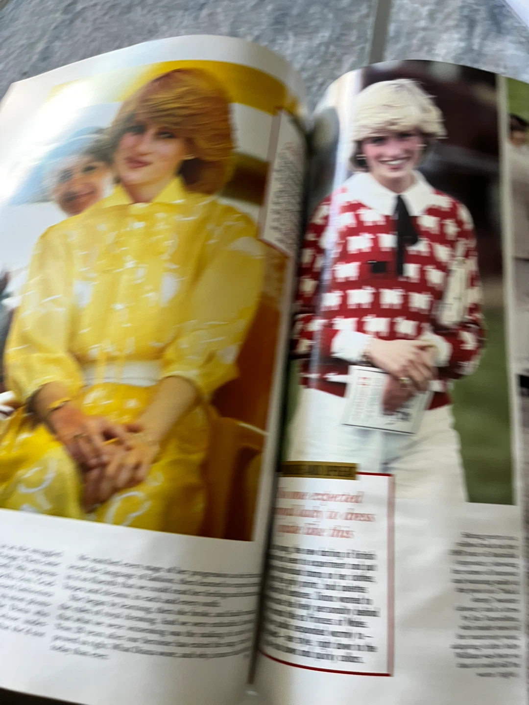 Hello Canada! Special Collector's Edition - Diana Tribute - photo 5