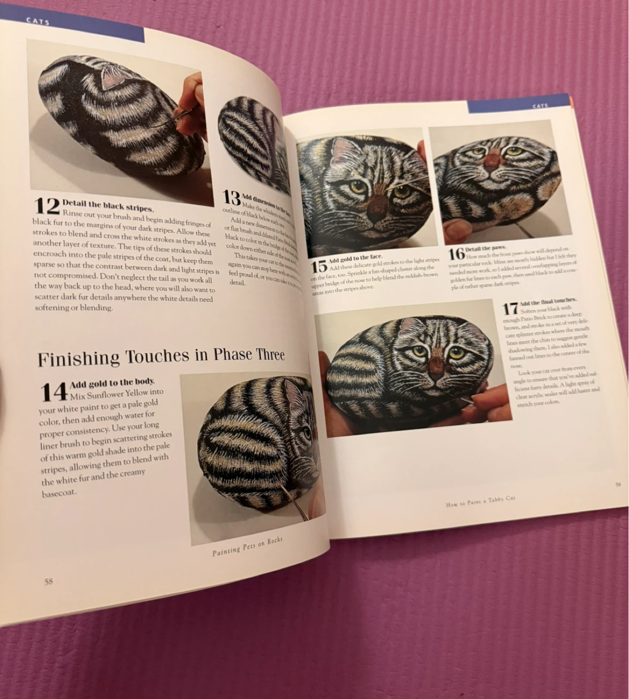 NEW⚽️Painting Pets on Rocks Book by Lin Wellford - photo 3