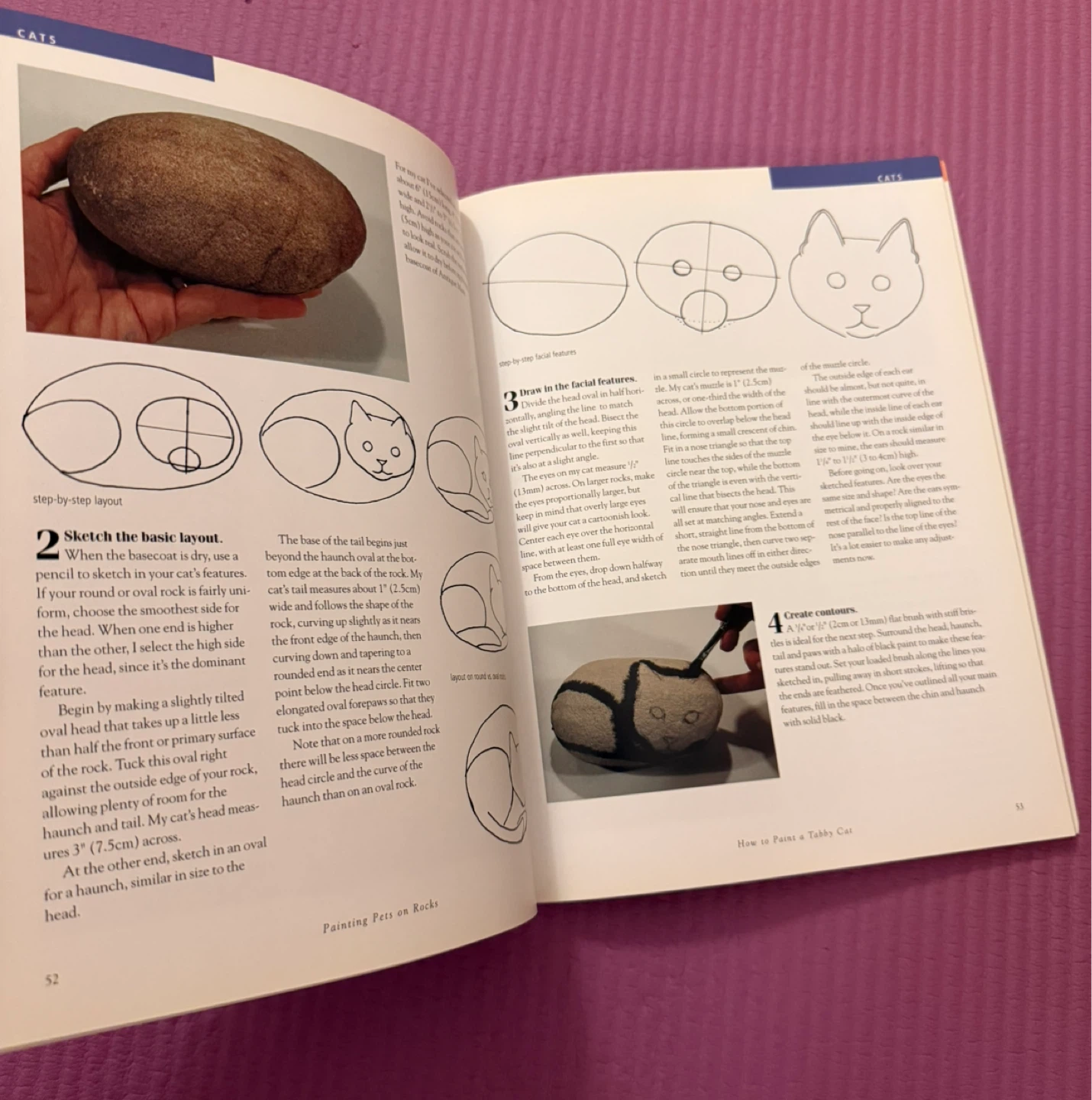 NEW⚽️Painting Pets on Rocks Book by Lin Wellford - photo 4