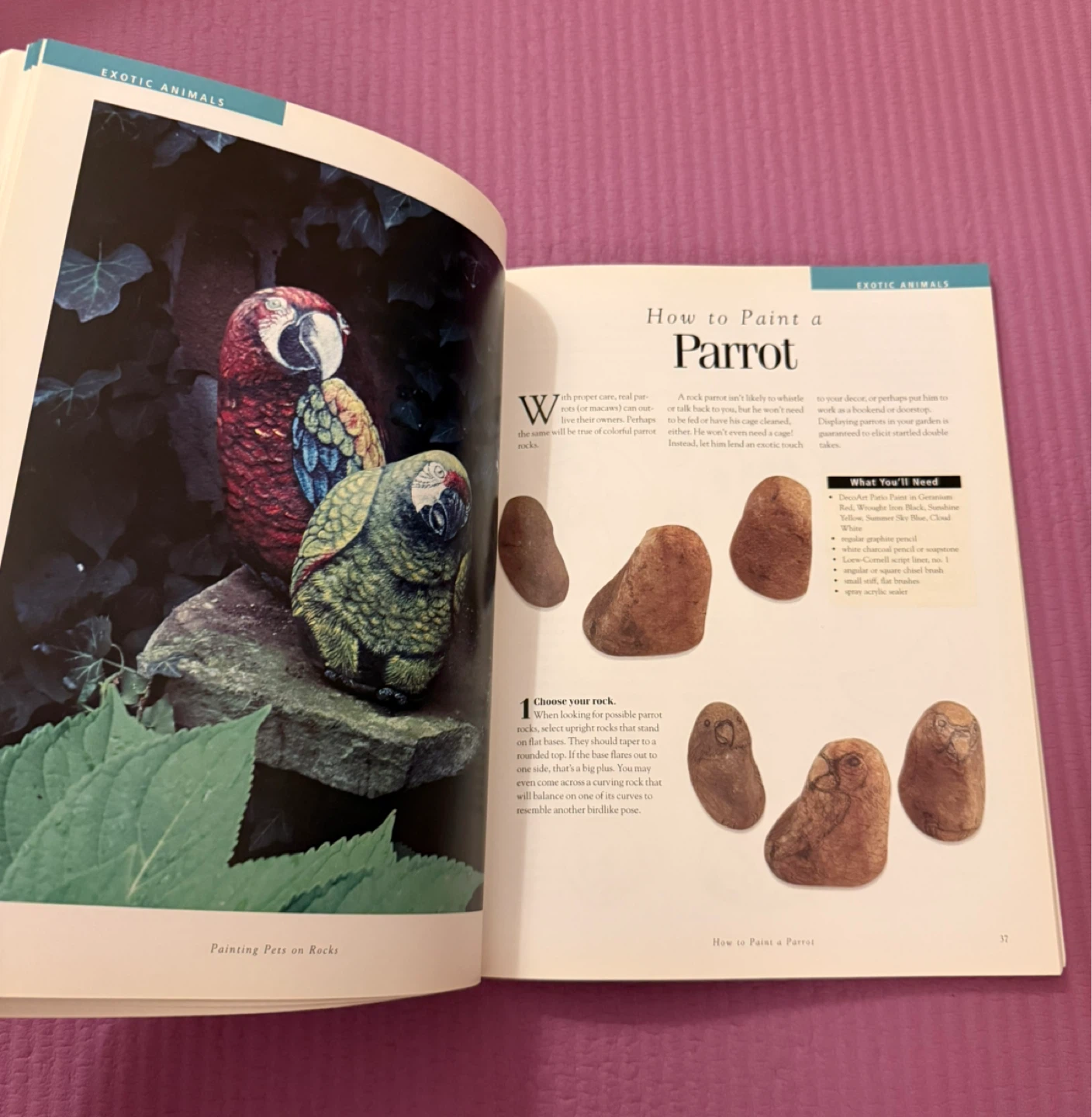 NEW⚽️Painting Pets on Rocks Book by Lin Wellford - photo 5