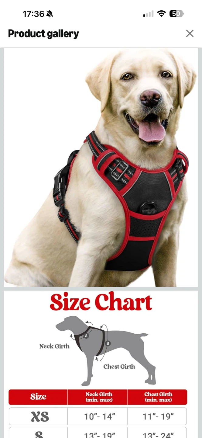 Rabbitgoo No-Pull Dog Harness SIZE L