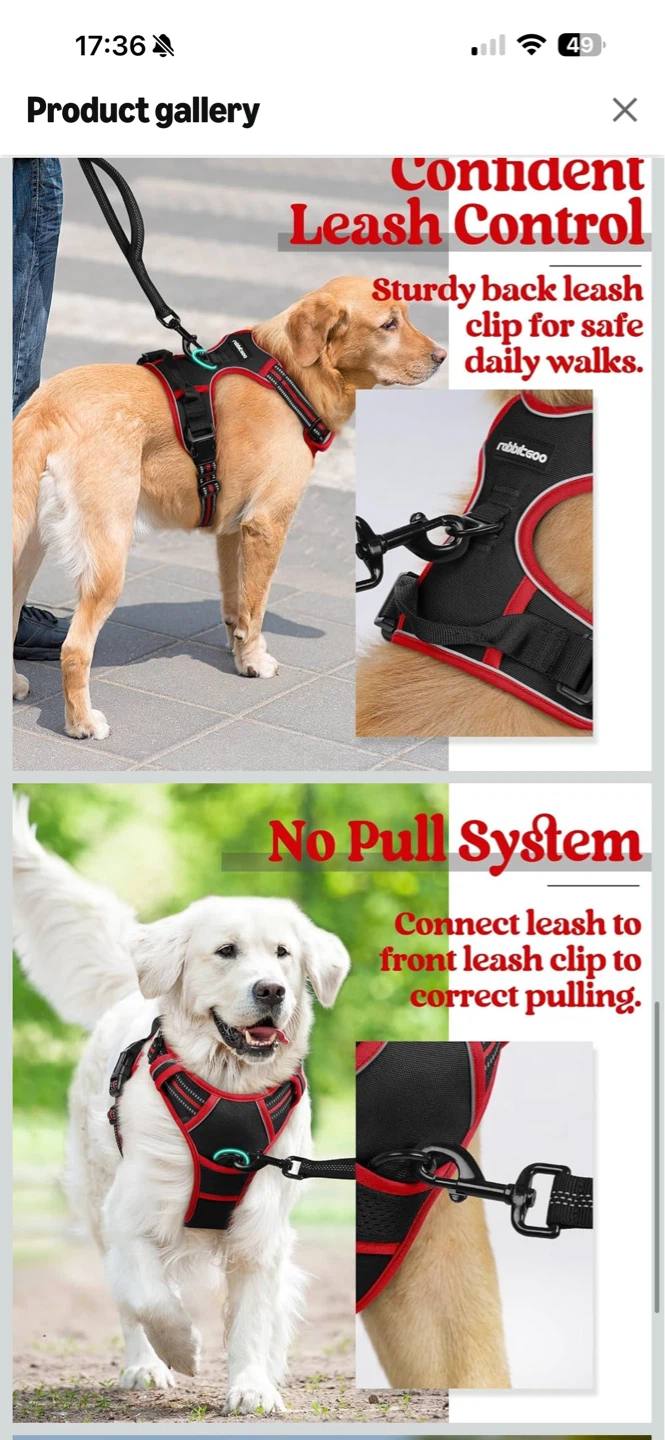 Rabbitgoo No-Pull Dog Harness SIZE L - photo 5