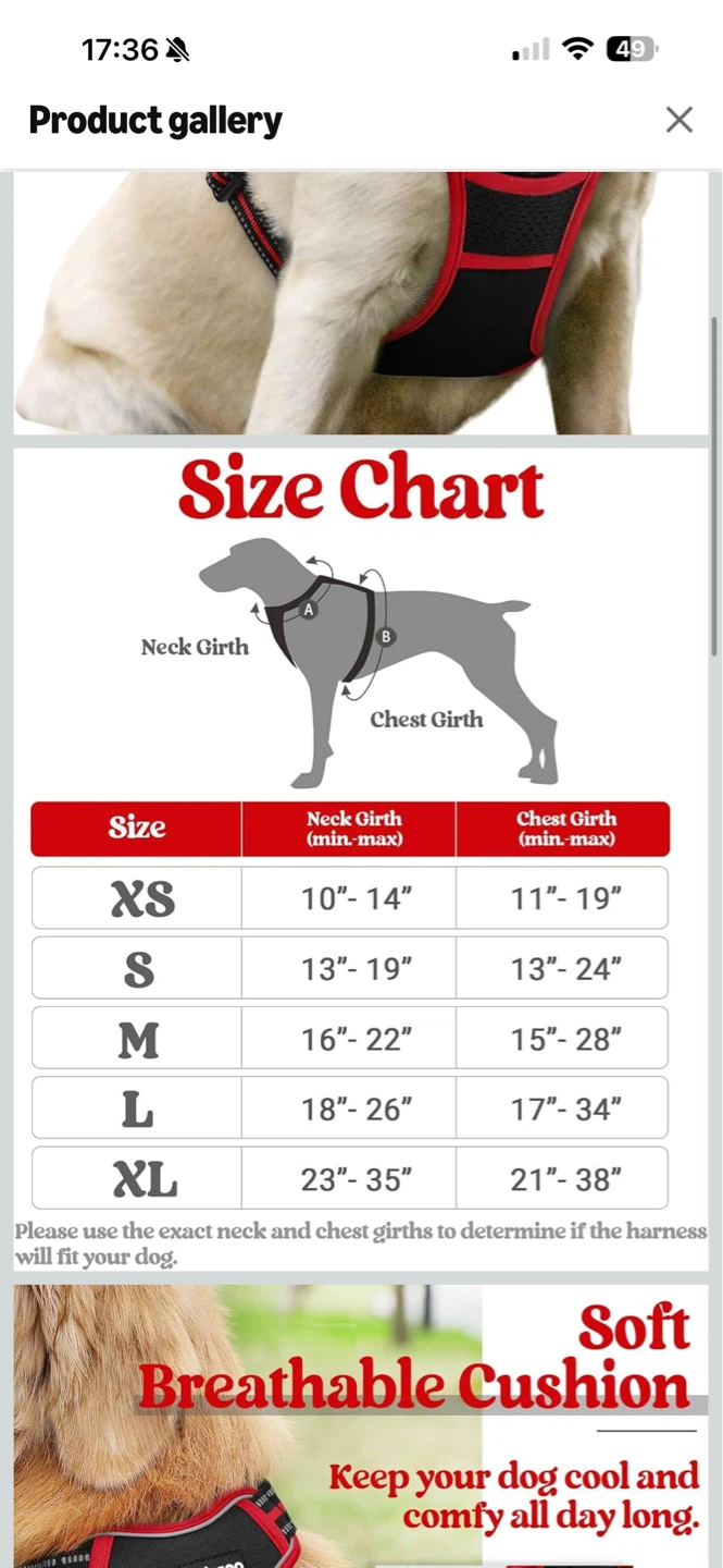 Rabbitgoo No-Pull Dog Harness SIZE L - photo 4