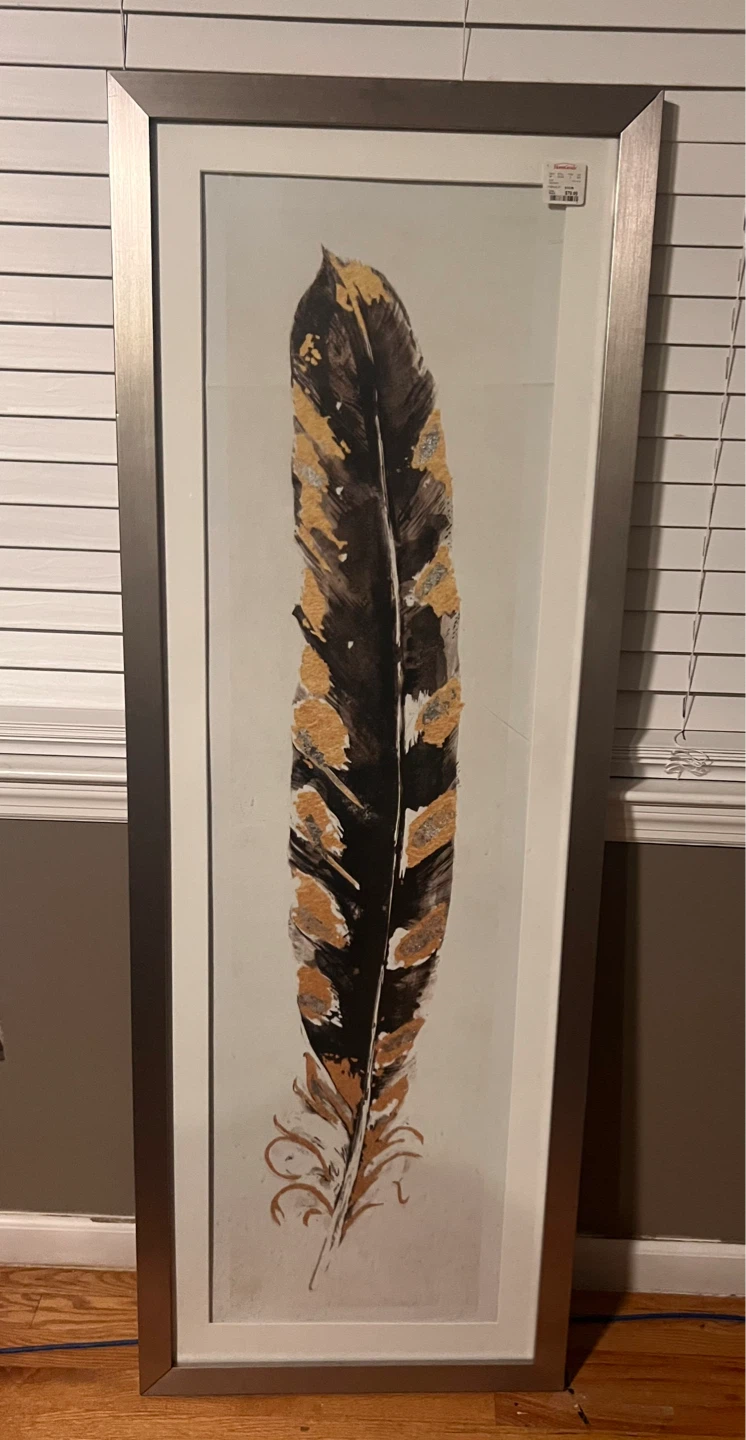 Framed Feather Wall Art