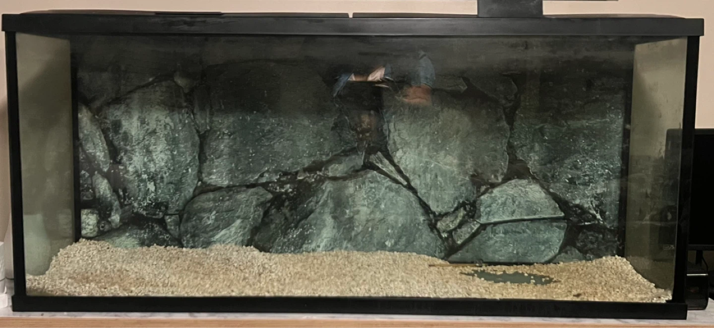 Large Aquarium Tank with Rock Background - photo 4