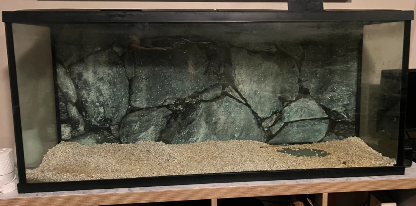 Large Aquarium Tank with Rock Background