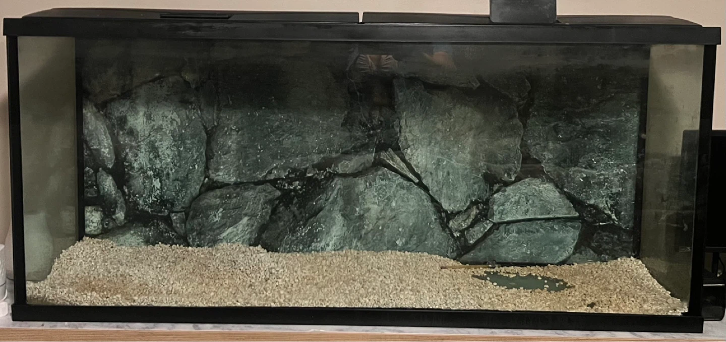 Large Aquarium Tank with Rock Background - photo 2