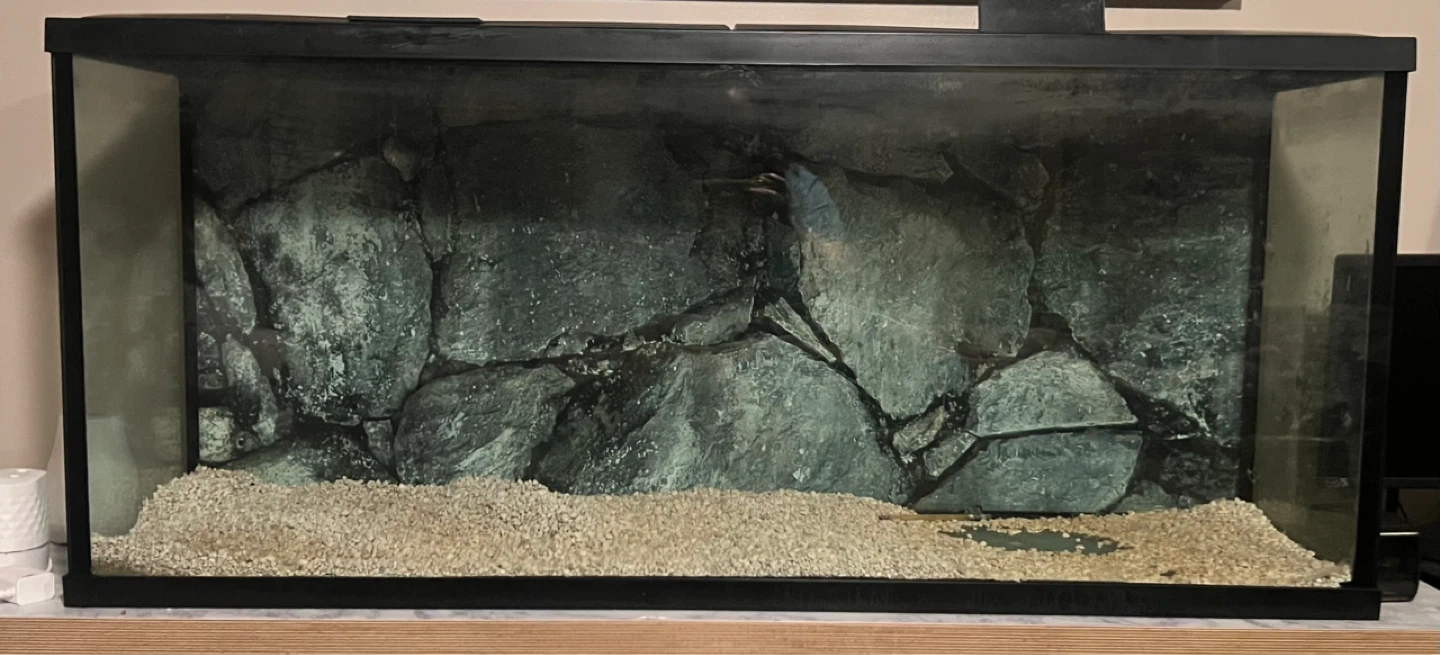 Large Aquarium Tank with Rock Background - photo 3