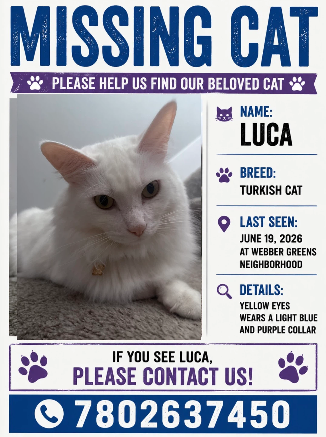 Missing cat Webber Greens