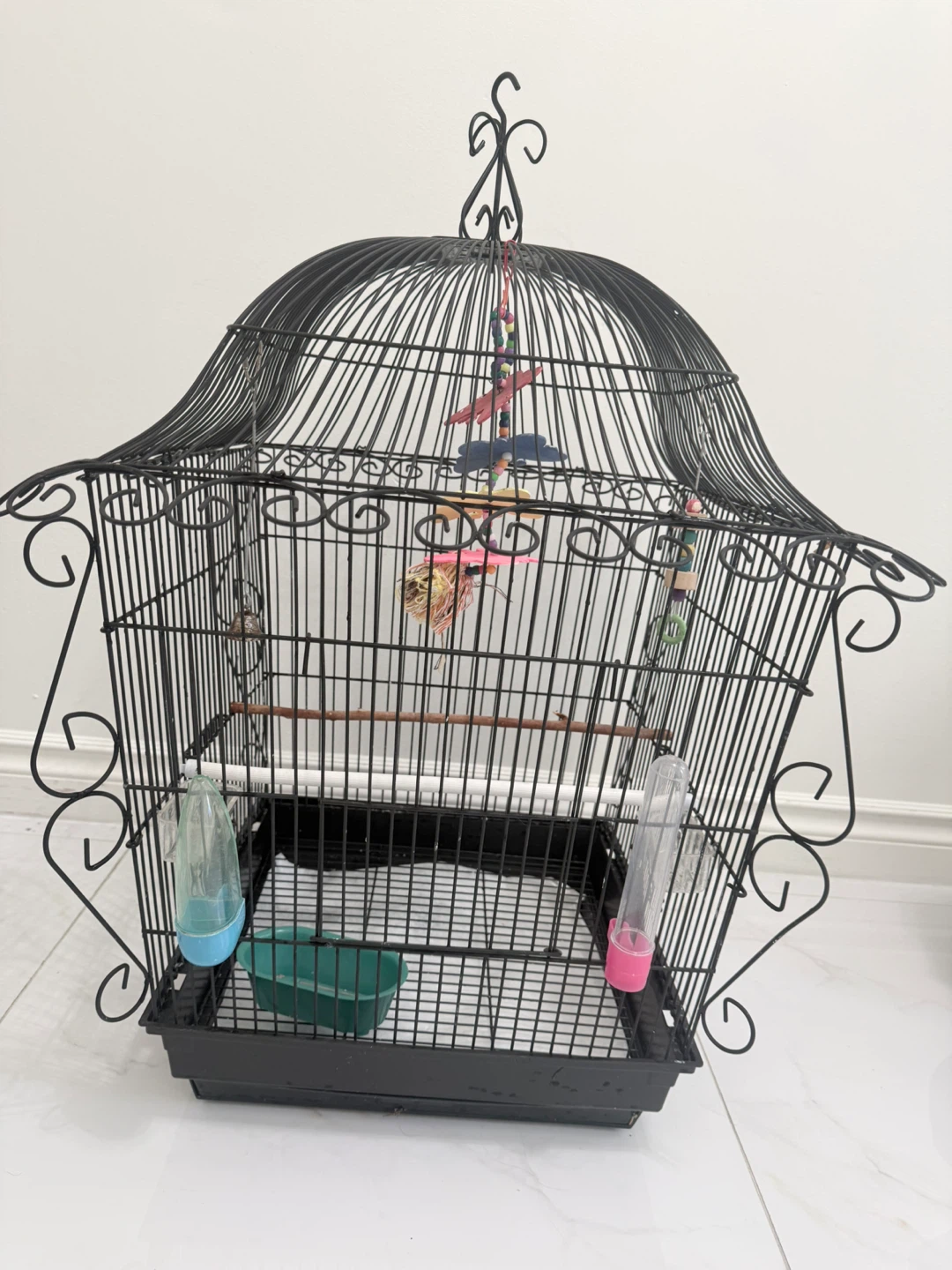 Black Decorative Bird Cage with Accessories