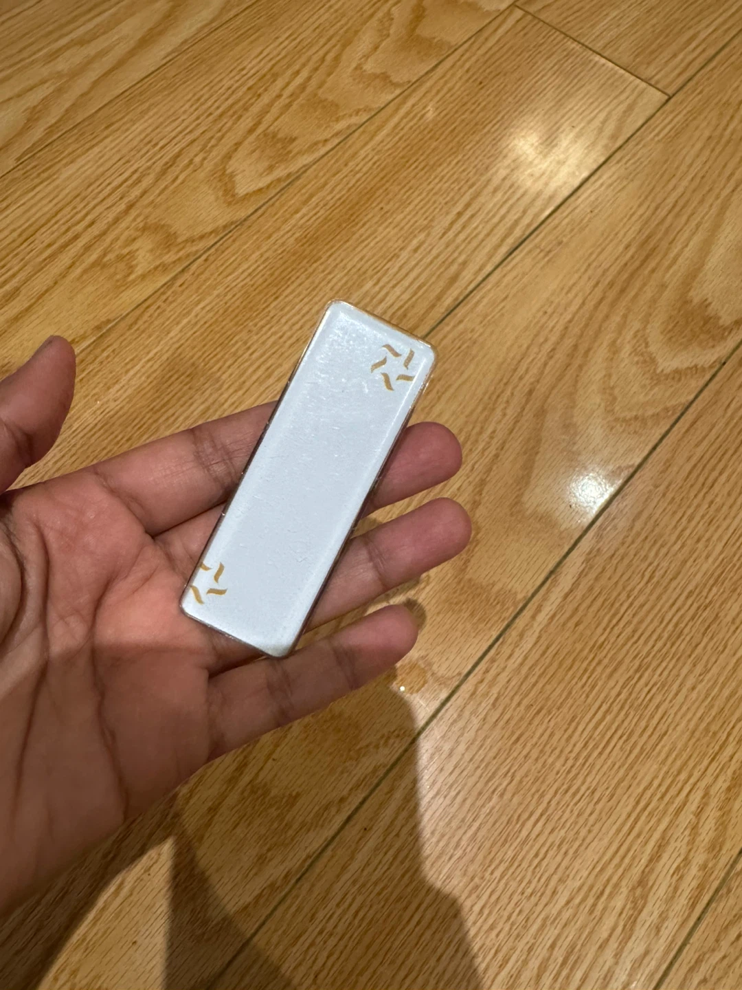 Name tag with magnet