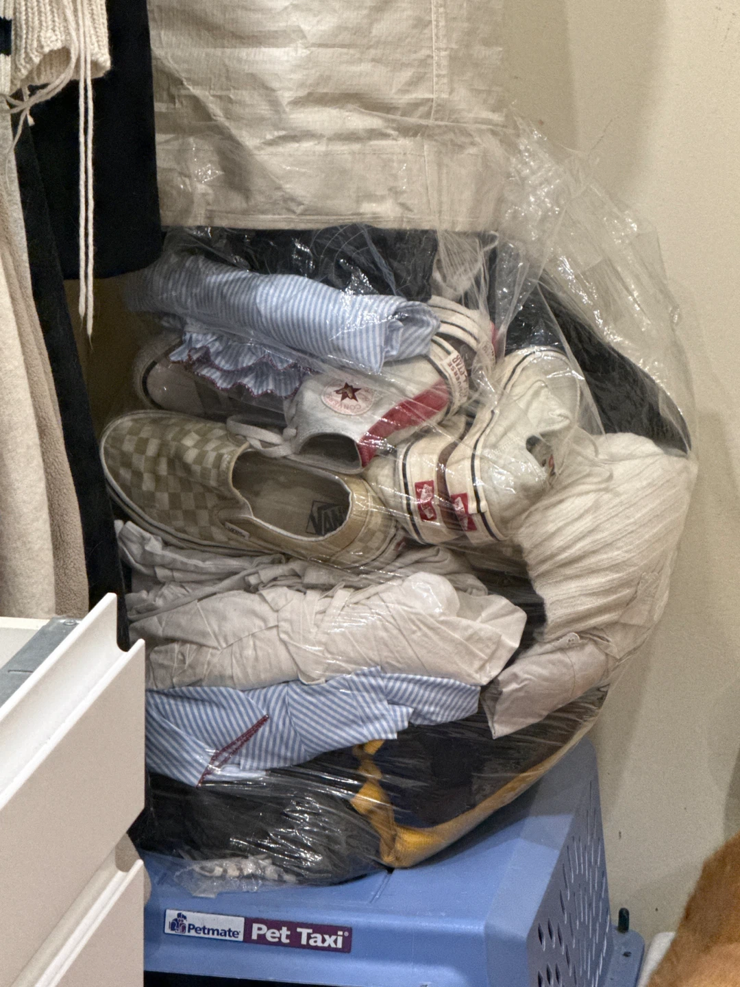 big bag of free women clothes and shoes