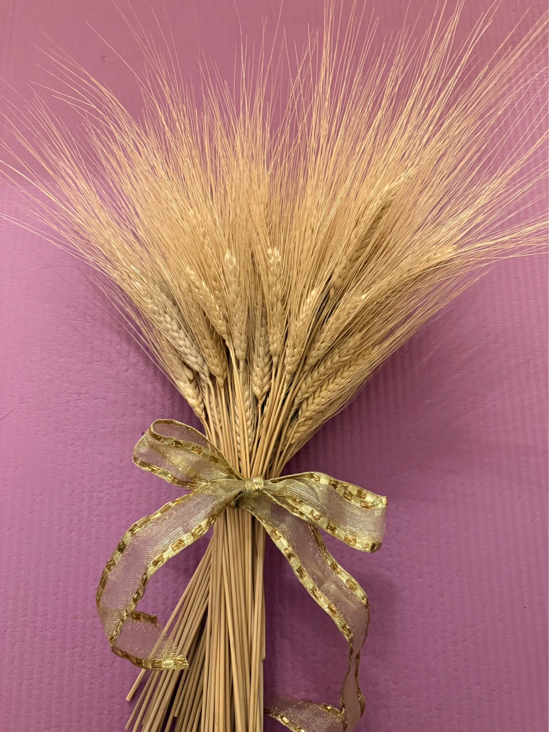 NEW⚽️Dried Wheat Stalks Bundle with Gold Ribbon