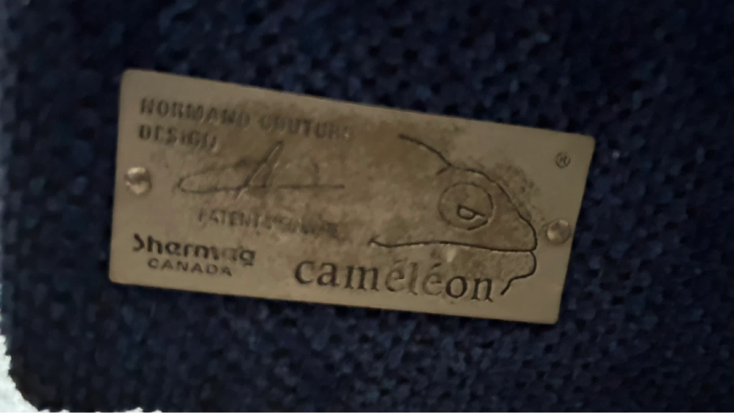 Shermag Caméléon Blue Sofa - photo 3