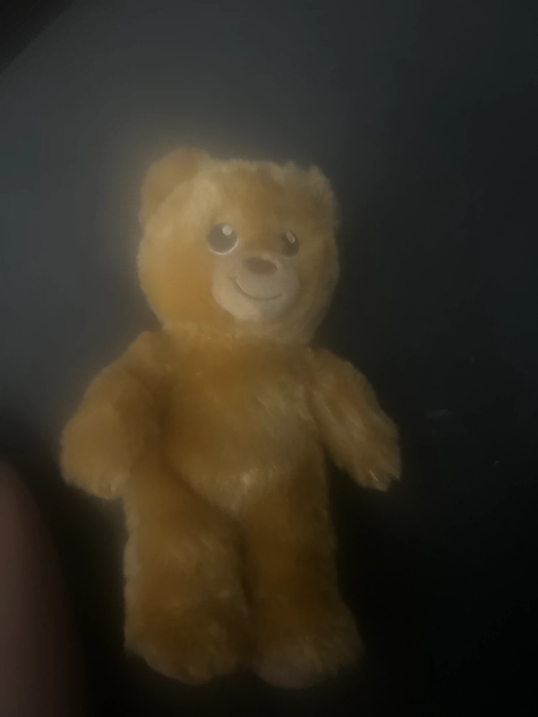 Yellow Teddy Bear Plush Toy
