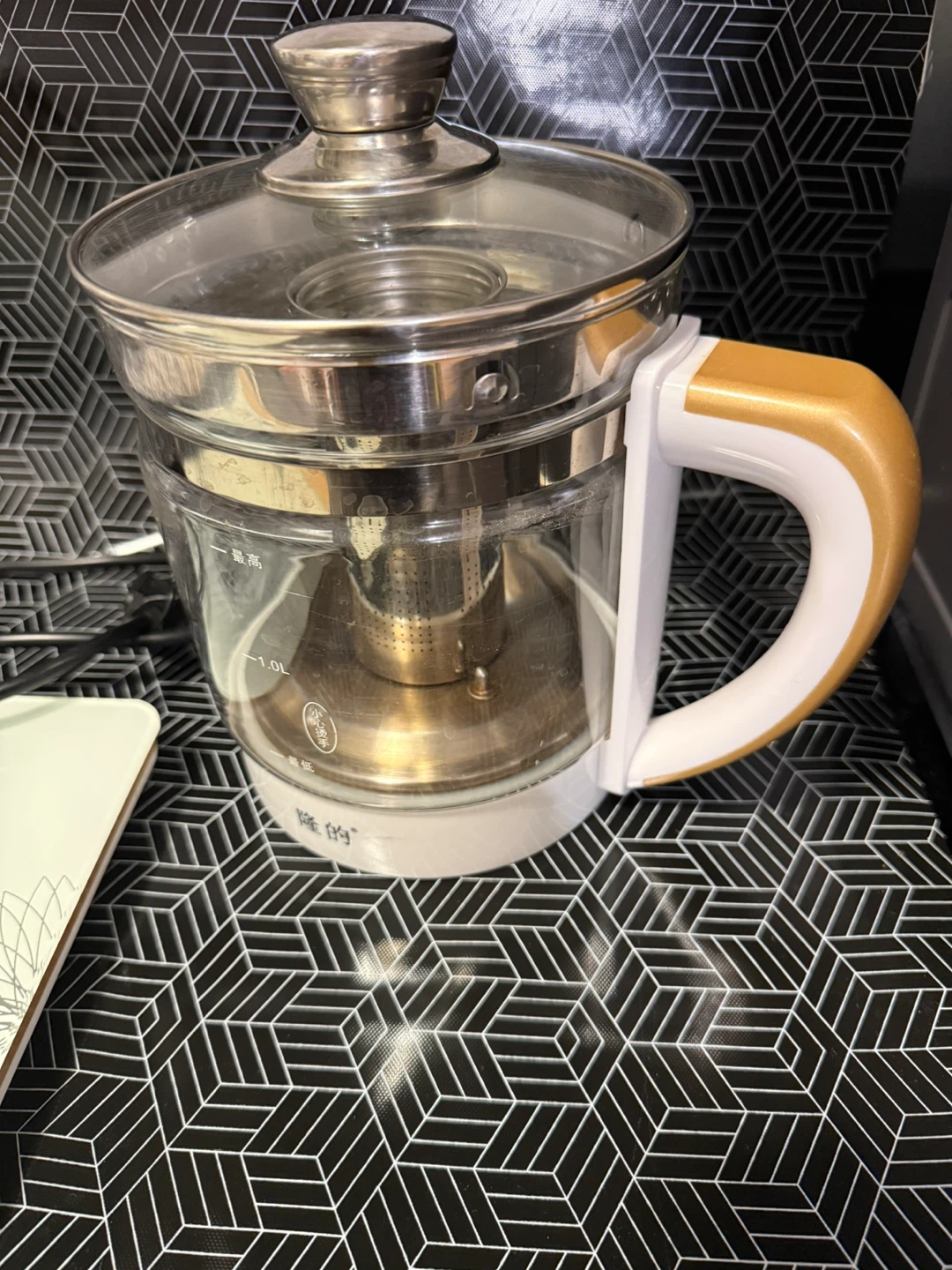 Electric Multi-Function Kettle with Tea Infuser