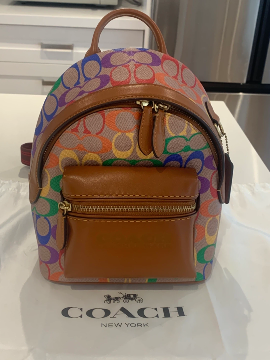 🌈 Coach Charter Backpack 18 Pride Collection Rainbow 🌈