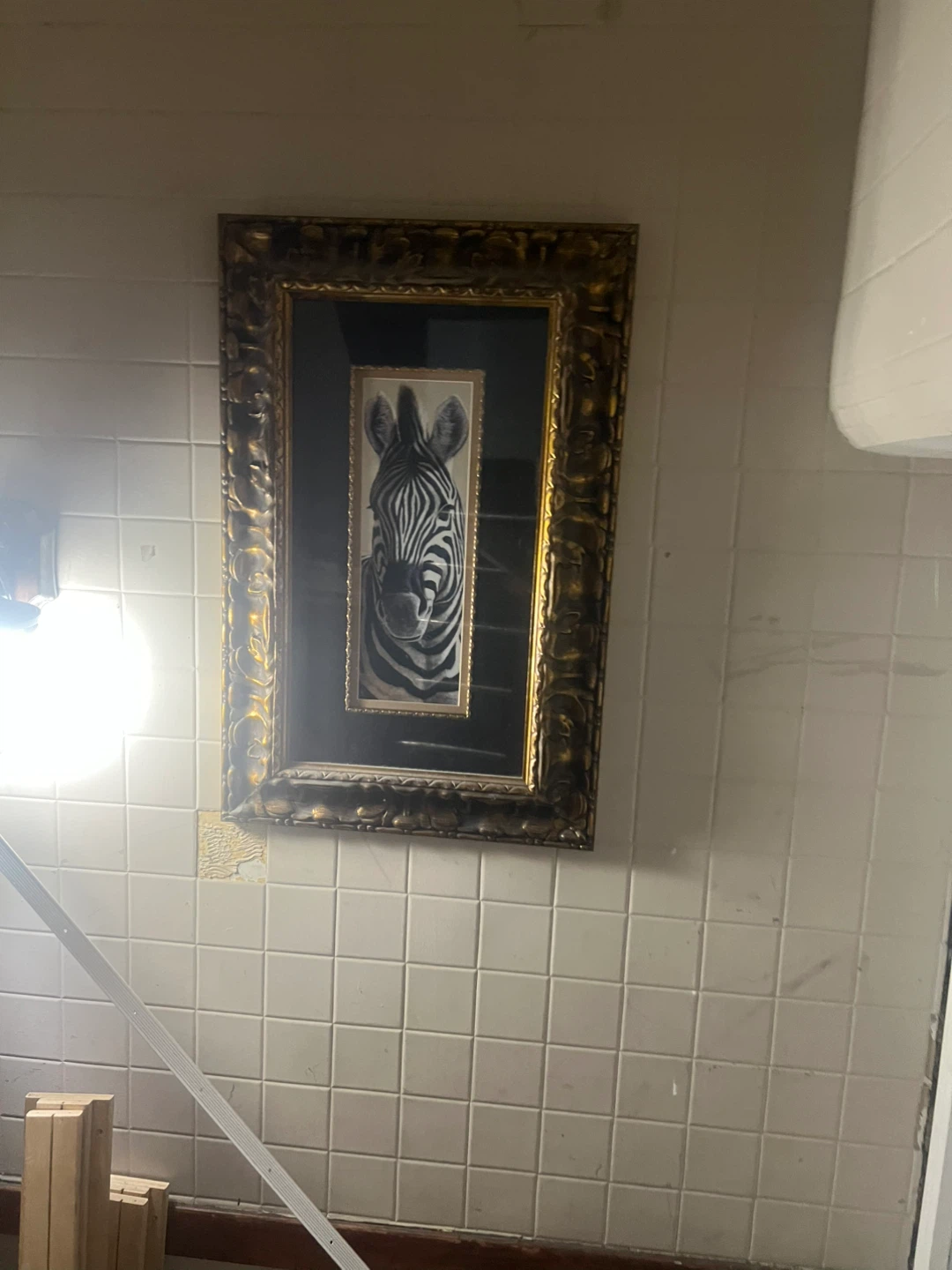 Framed Zebra Portrait Wall Art ⚽