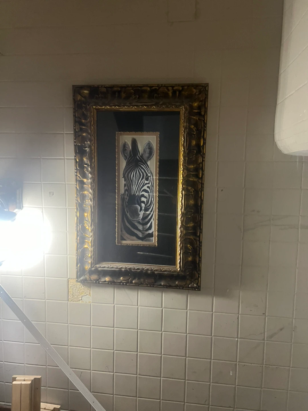 Framed Zebra Portrait Wall Art ⚽ - photo 2
